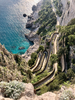 Full Day Tour to the Best Beaches and Coves of Mallorca